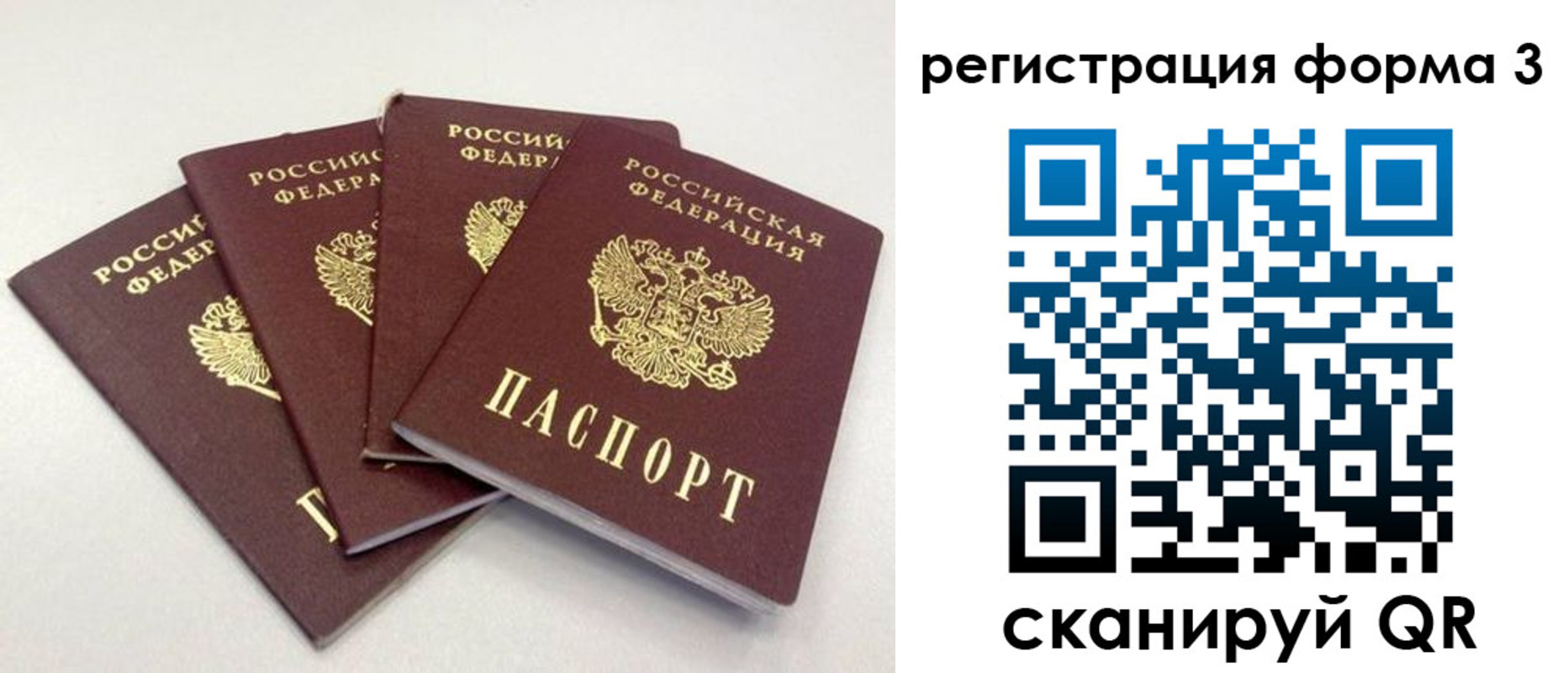 прописка 2025 в Волгограде